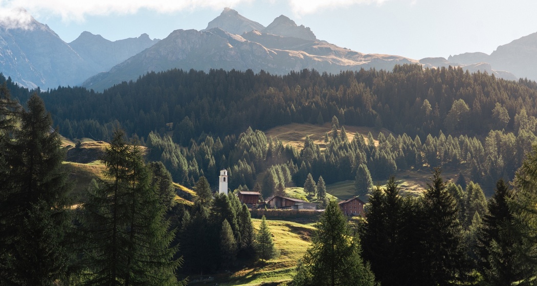 Sur (oua_73740825_image)