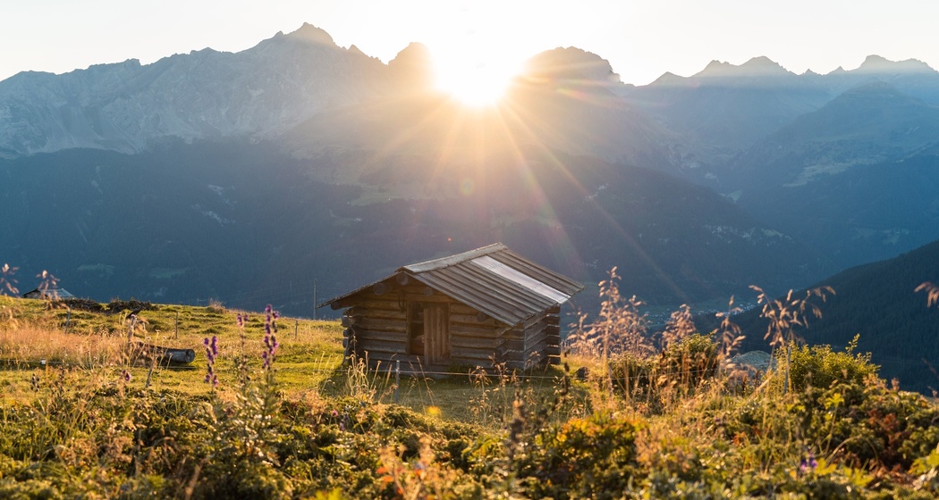 Tgamon Somtgant (oua_73742017_image)