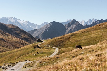 Via Sett: Septimerpass (oua_73743094_image)