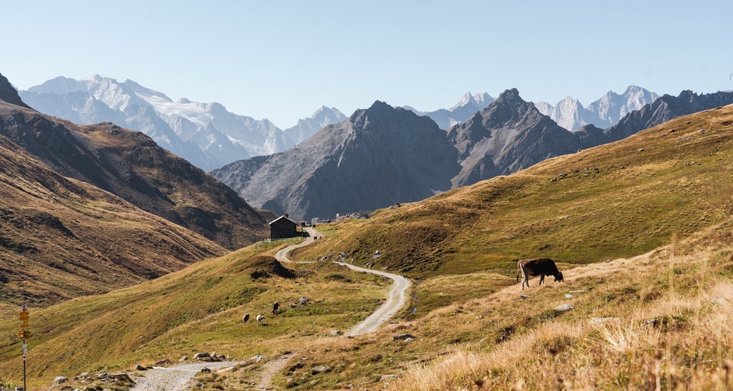 Via Sett: Septimerpass (oua_73743094_image)