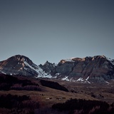 Satteltichopf en automne