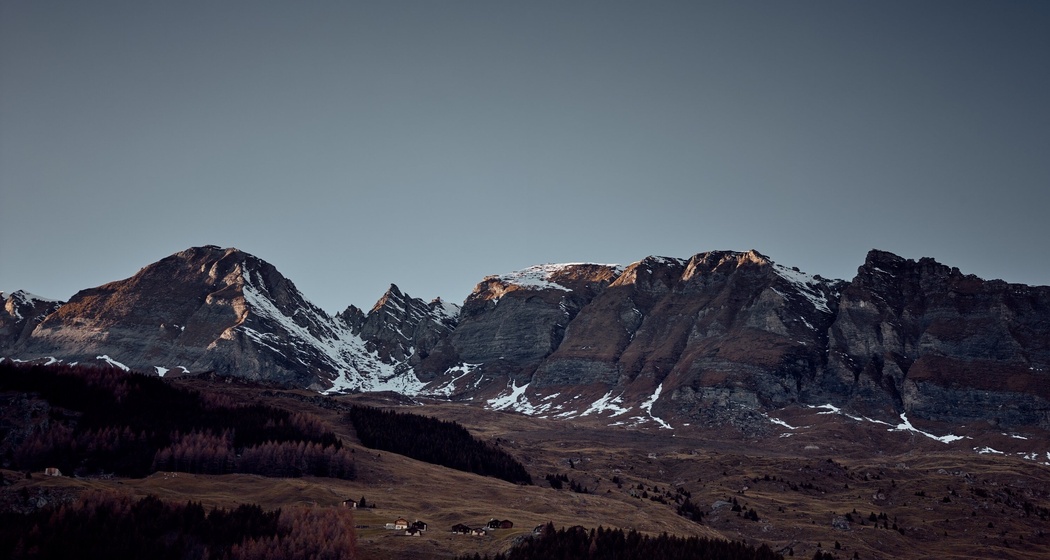 Satteltichopf im Herbst