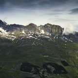 Satteltichopf au centre de l'image