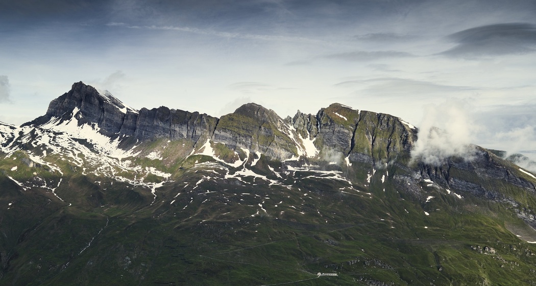 Satteltichopf in der Bildmitte