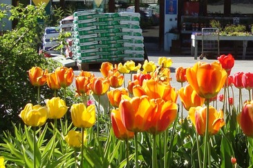 Protection Filisur, Alpin Garden Center