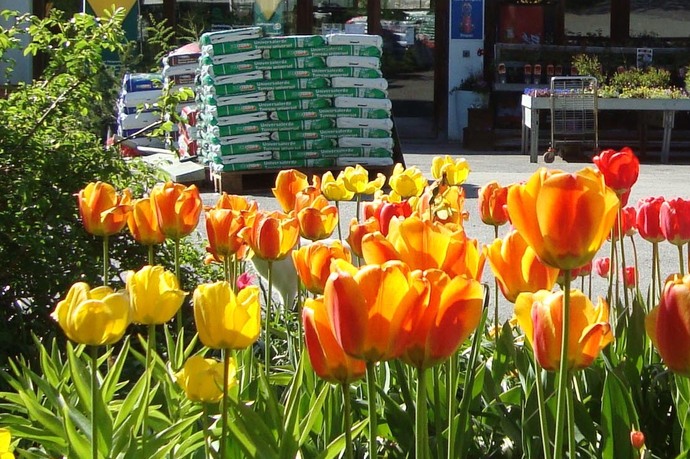 Protection Filisur, Alpin Garden Center