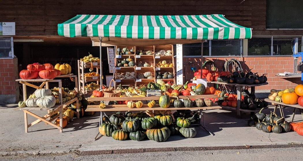 Marktstand mit Kürbissen