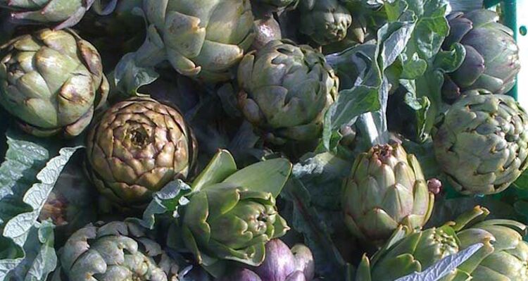 Artischocken