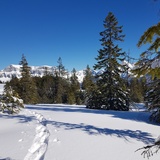 Snowshoe trail Prodalp-Panüöl