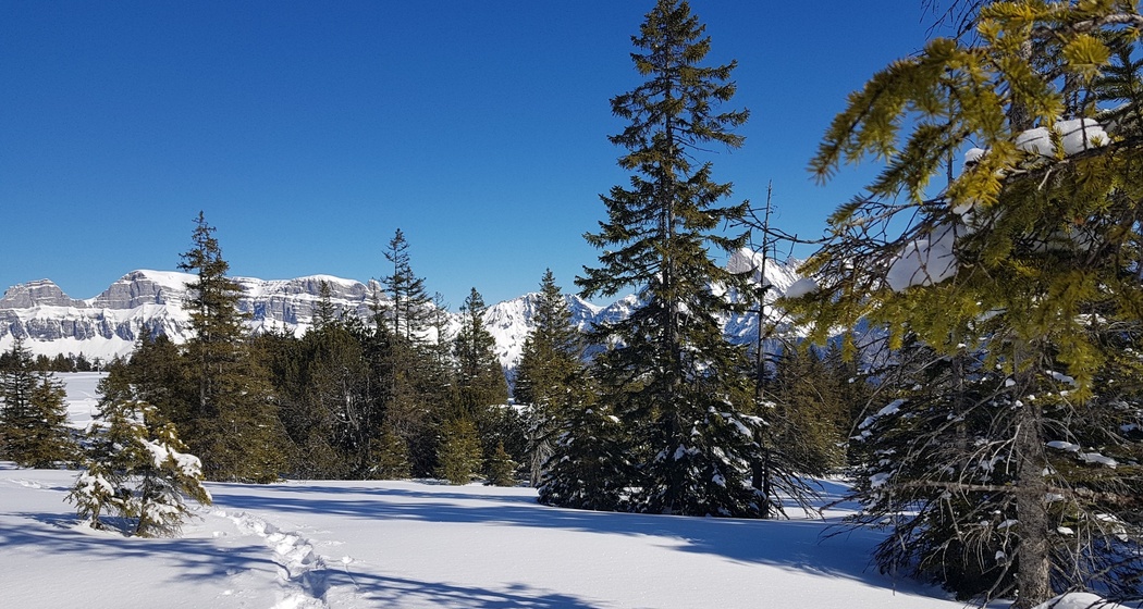 Schneeschuhtrail Prodalp-Panüöl