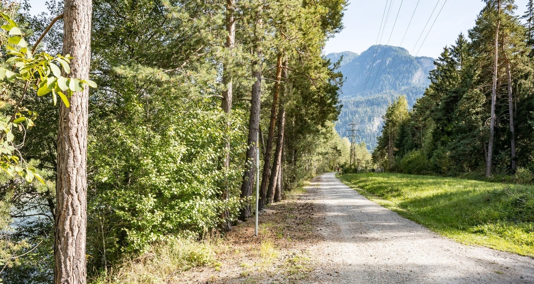 Die Feuerstelle Querverbindung befindet sich direkt am Hinterrhein