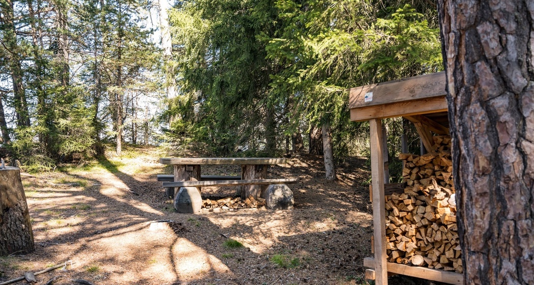 Feuerstelle Thusisblick