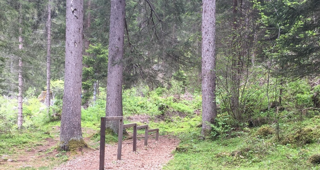 Vitaparcours (oua_74187469_image)