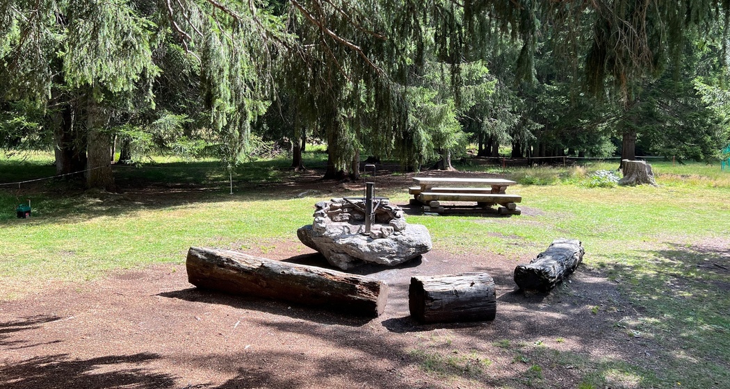 Feuerstelle Schwarzwald