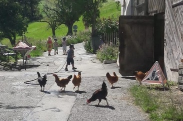 Bio Hof Hilarien Chur