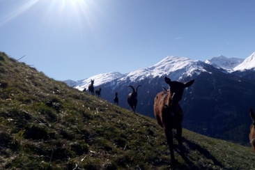 Bain Orasom (oua_74679278_image)