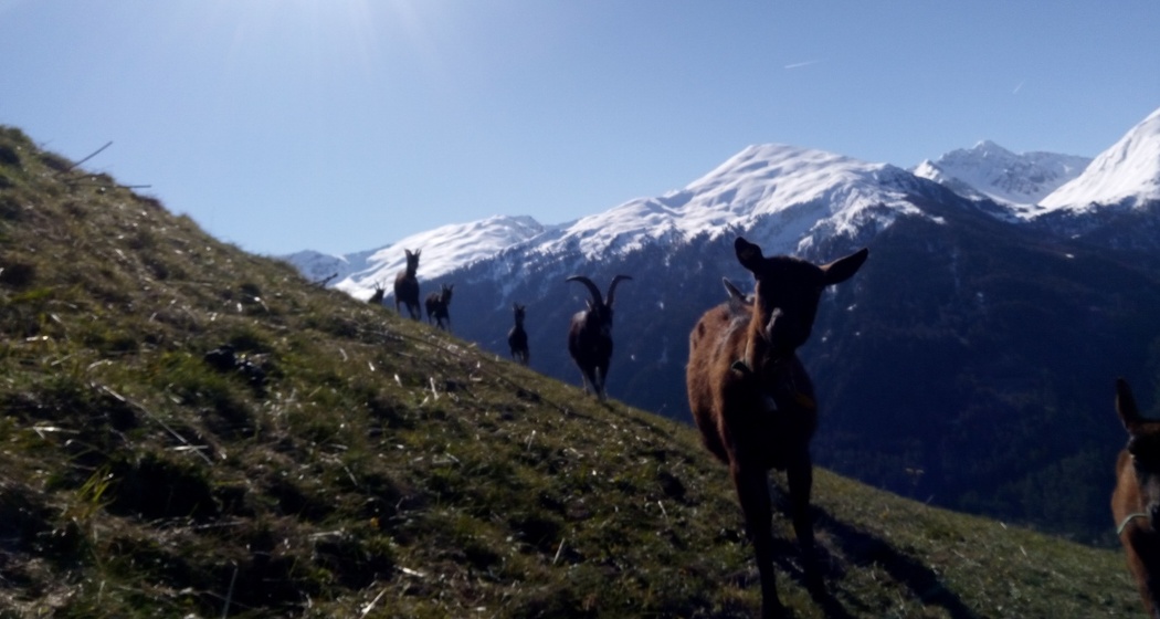 Bain Orasom (oua_74679278_image)