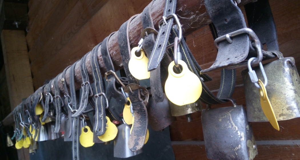 Bain Orasom (oua_74679279_image)