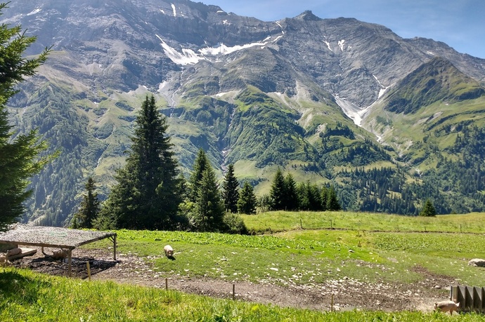 Malanseralp
