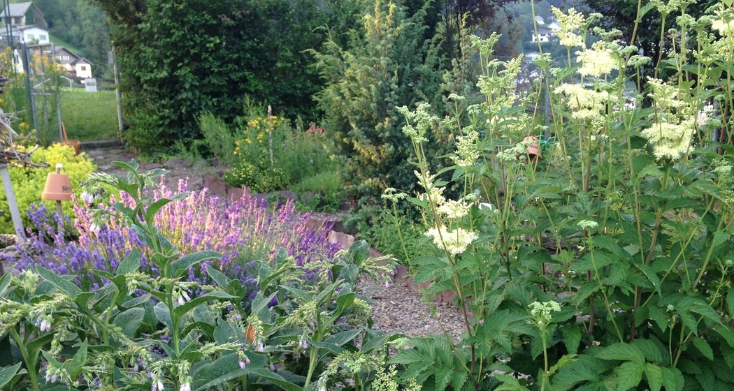 Kneippanlage Sargans mit Kräutergarten