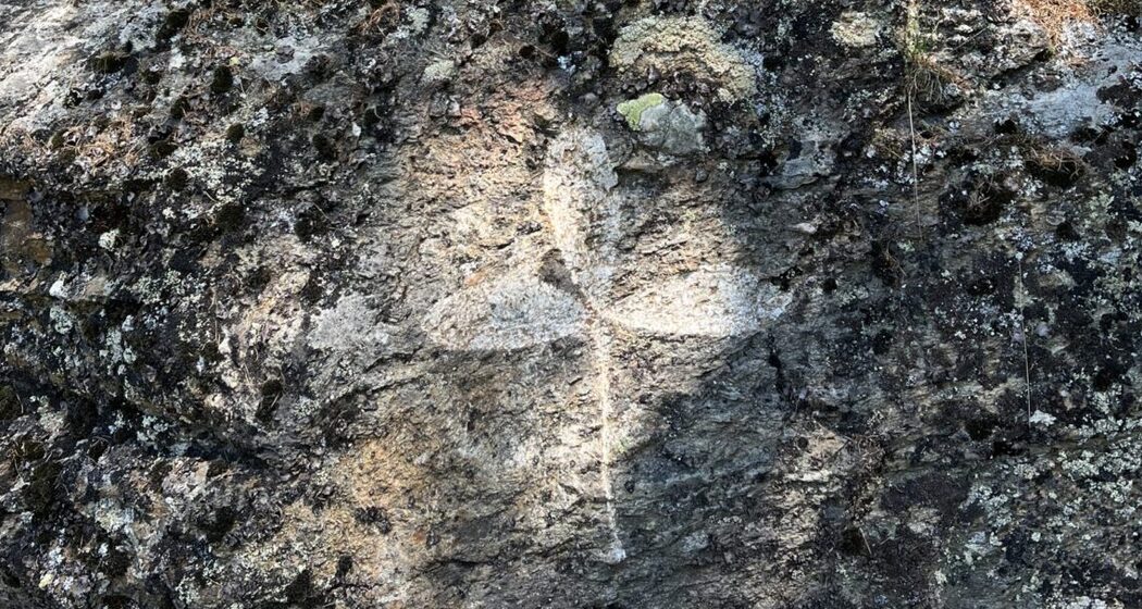 Themenweg Staziun da Forza