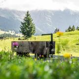 Team Kombination: Laax Murschetg - Runcahöhe - Flims Waldhaus (oua_74866143_image)