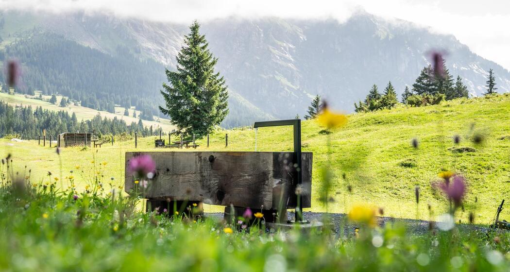 Team Kombination: Laax Murschetg - Runcahöhe - Flims Waldhaus (oua_74866143_image)