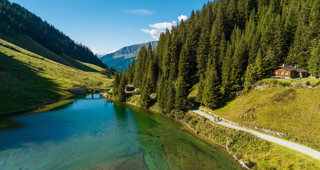 Kübliser Alp (oua_75148801_image)