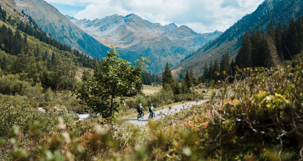 Alp Sardasca (oua_75149601_image)