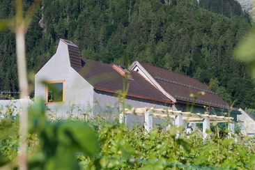 House of Graubünden Wine