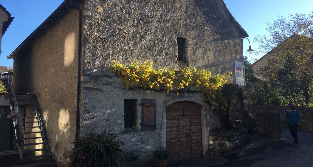 Torkel Marugg (oua_75247490_image)