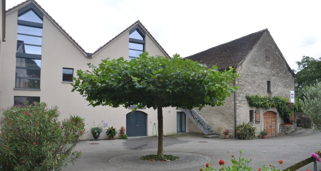 Torkel Marugg (oua_75247491_image)