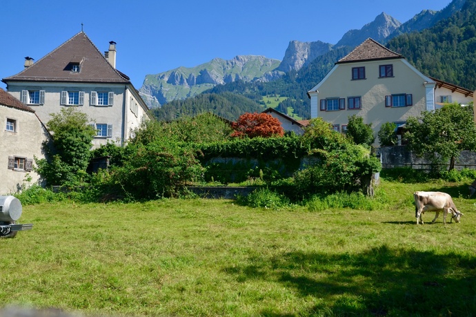 Lower Sprecher House (oua_75247501_image)