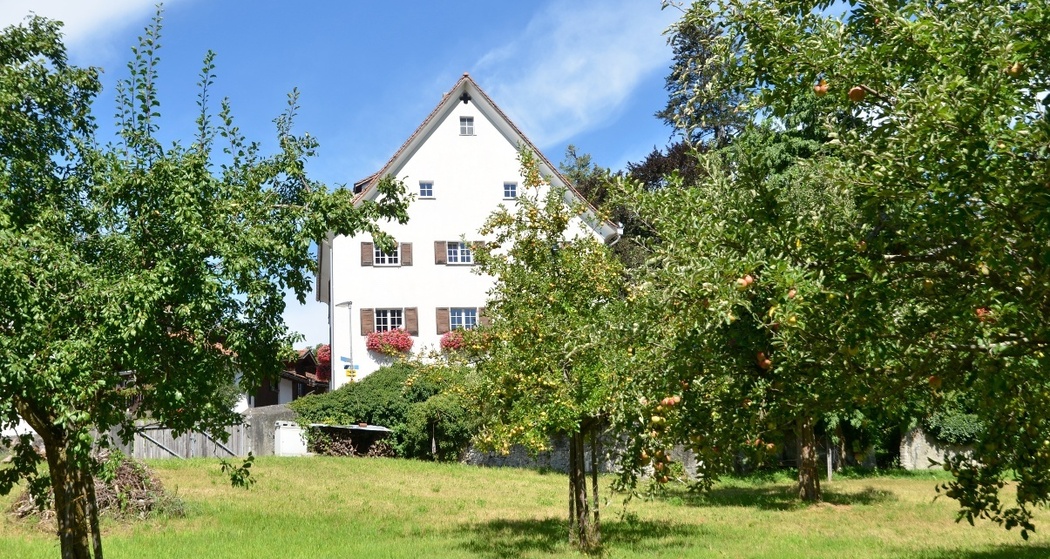Haus Guler von Wynegg - Haus Wegelin