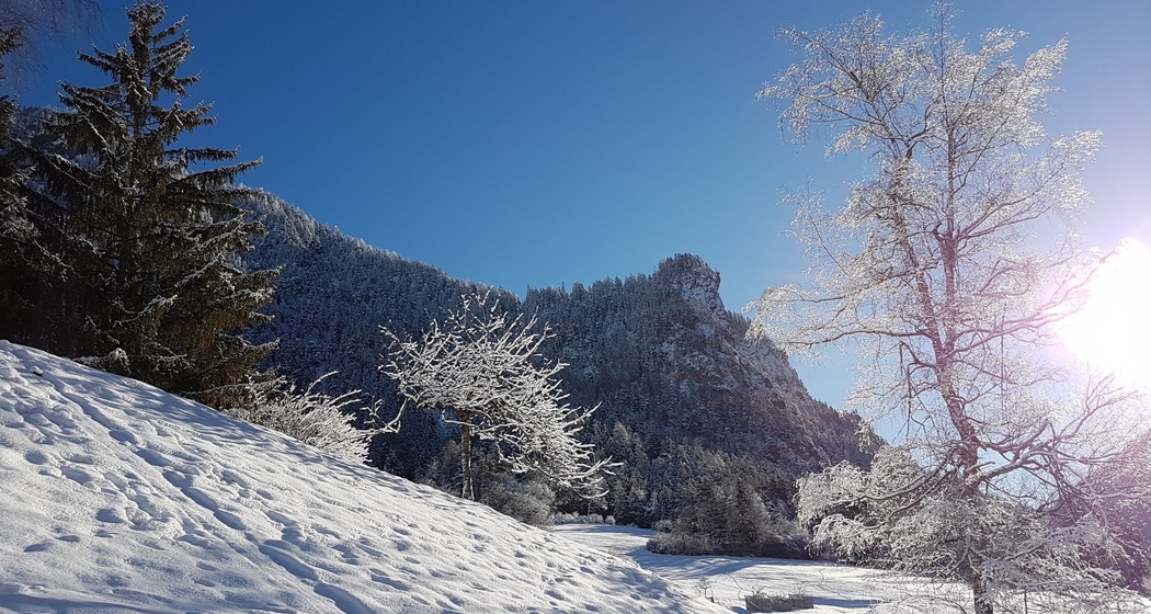 Winterlandschaft Filisur