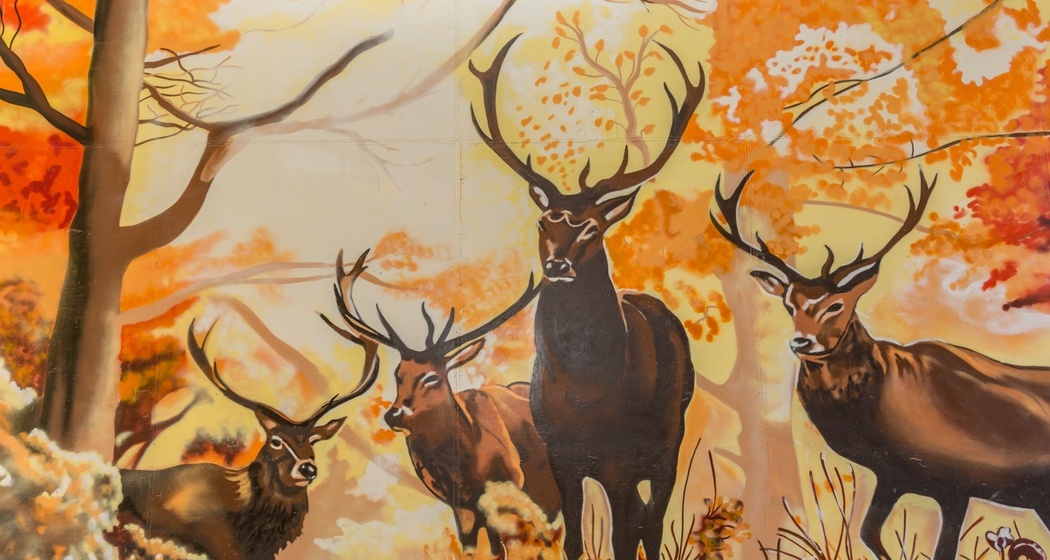 Unterführung in Castrisch mit Hirsch Zeichnungen