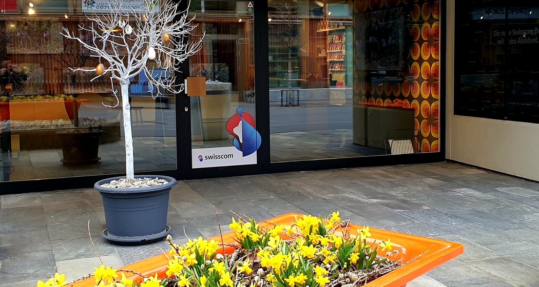 Expert Surselva in Ilanz