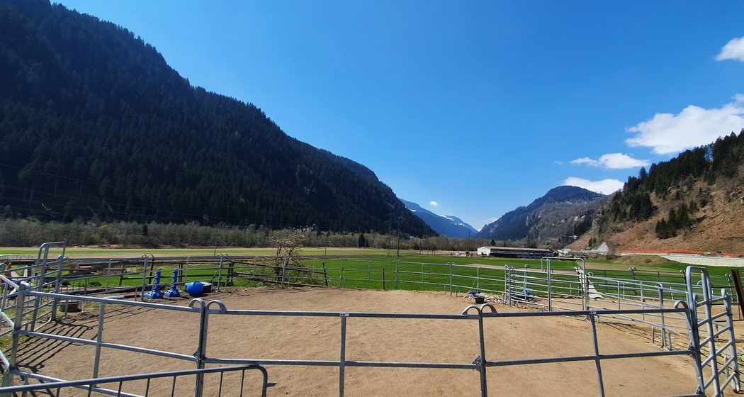 Laufgehege, Sun Ranch in Rueun