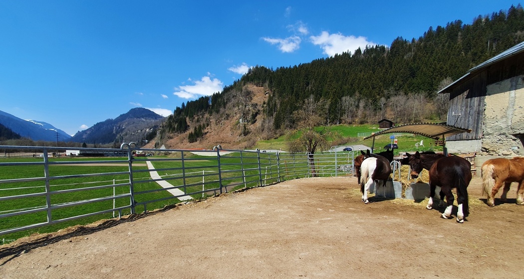 Sun Ranch in Rueun