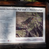 Waldlehrpfad, Übersichtstafel