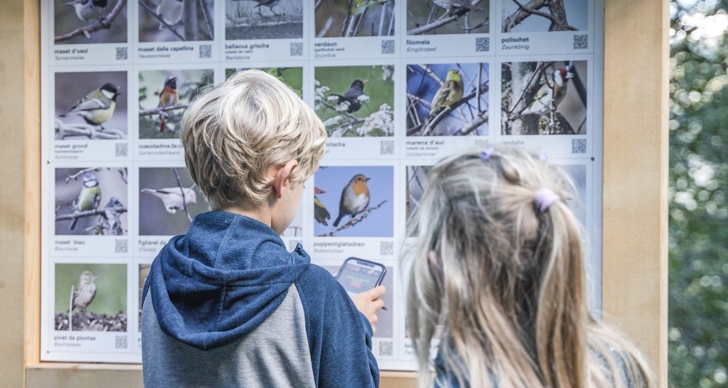 Waldlehrpfad, Vogelstimmen