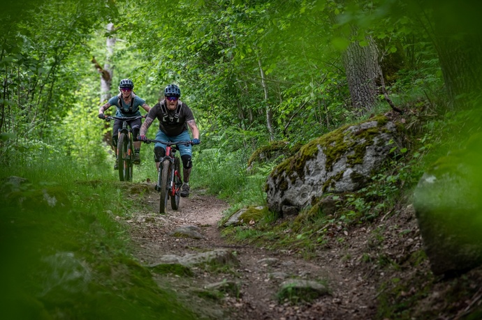 zwei Mountainbiker im Wald am runterfahren