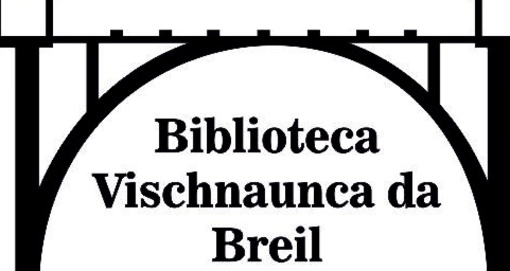 Logo Bibliothek in Danis