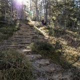 Quelltuff San Jon Dadaint