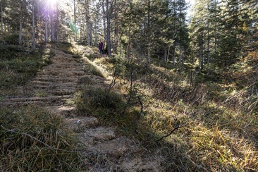 Quelltuff San Jon Dadaint