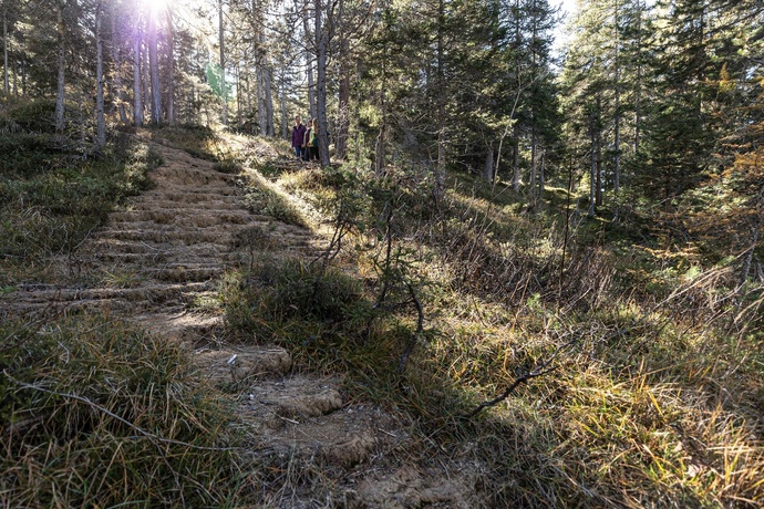 Quelltuff San Jon Dadaint