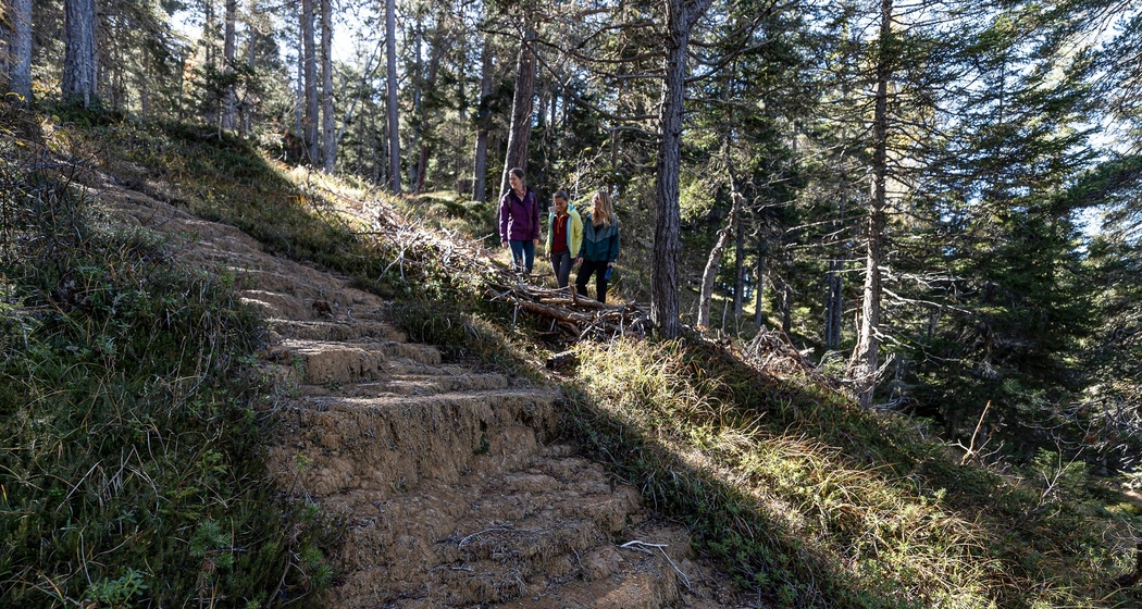 Quelltuff San Jon Dadaint