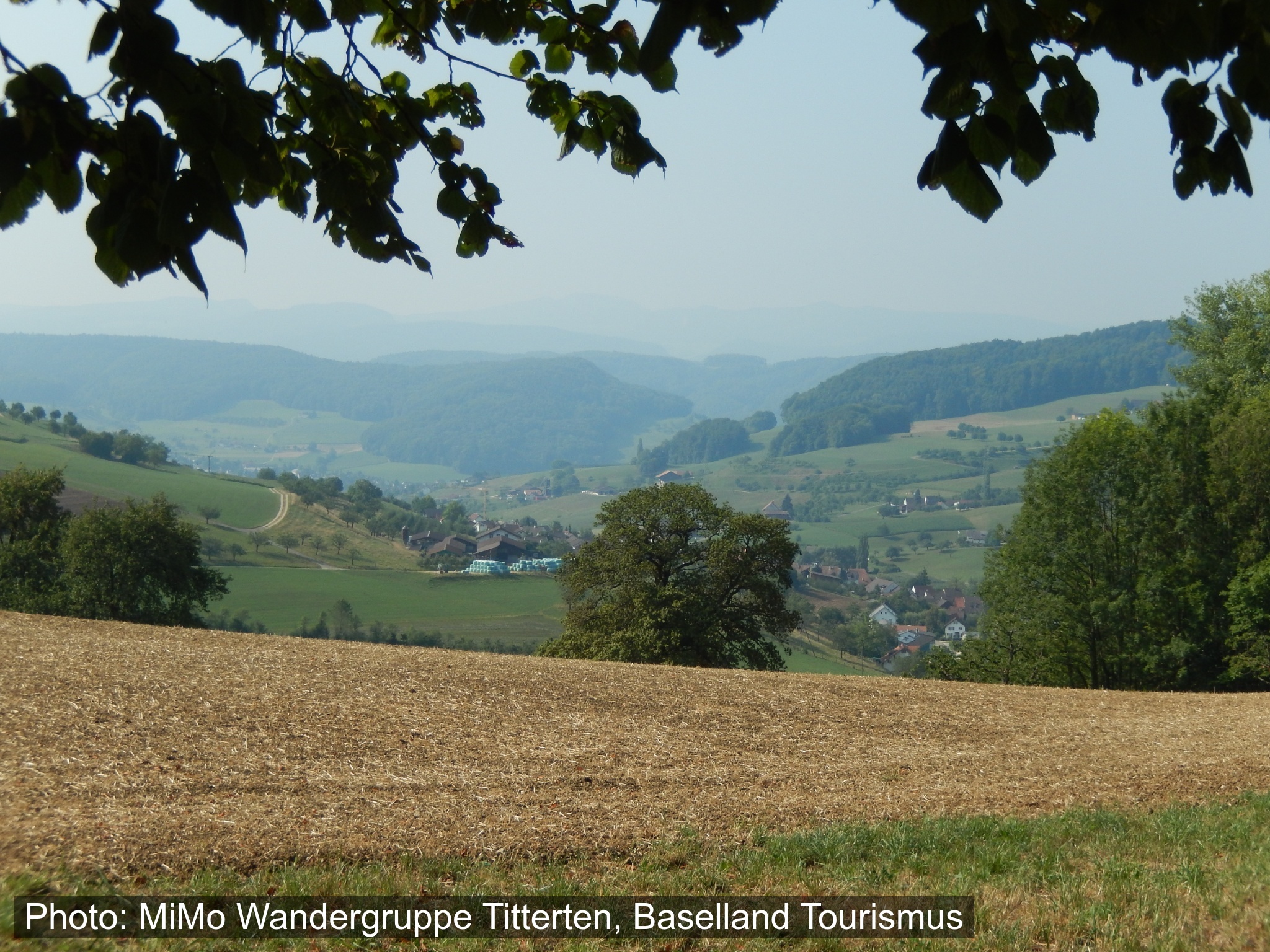 Kinderwagenwanderung: Bauernhoftiere ganz nah
