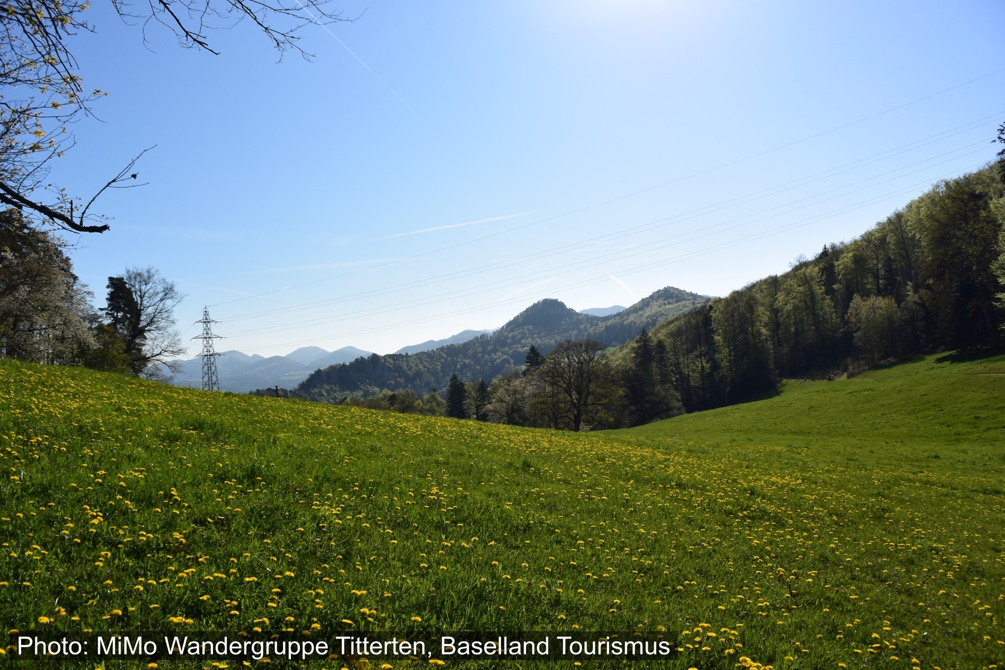 BLKB Bänkliwanderung / Grindel - Laufen