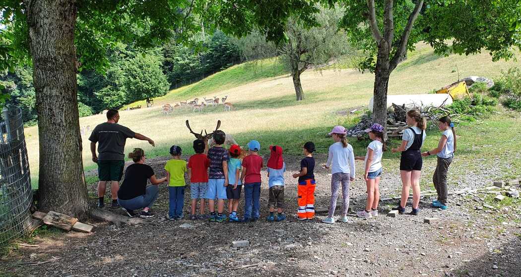 Eine Schule zu Besuch auf dem Karnerhof